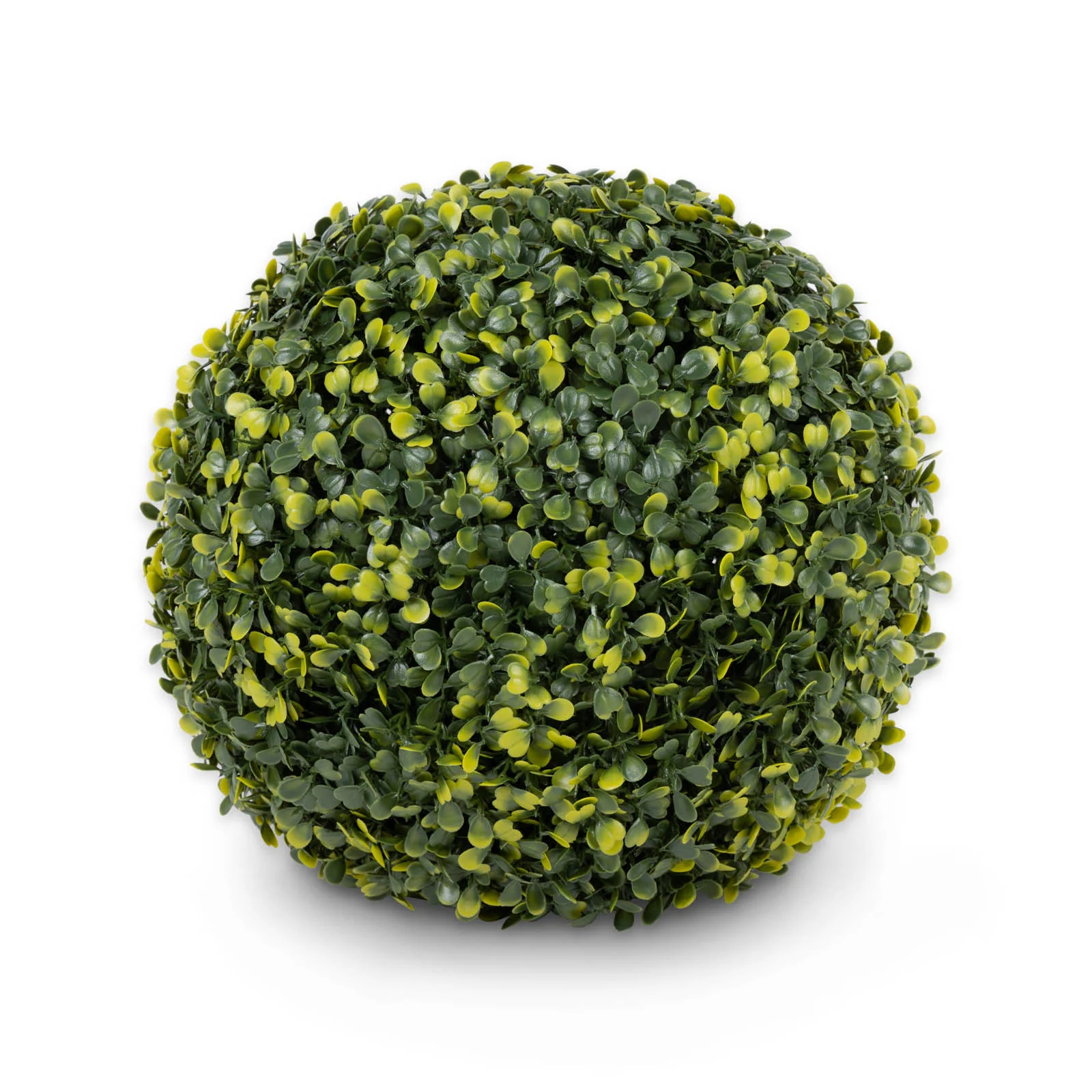 Miniatuur 1