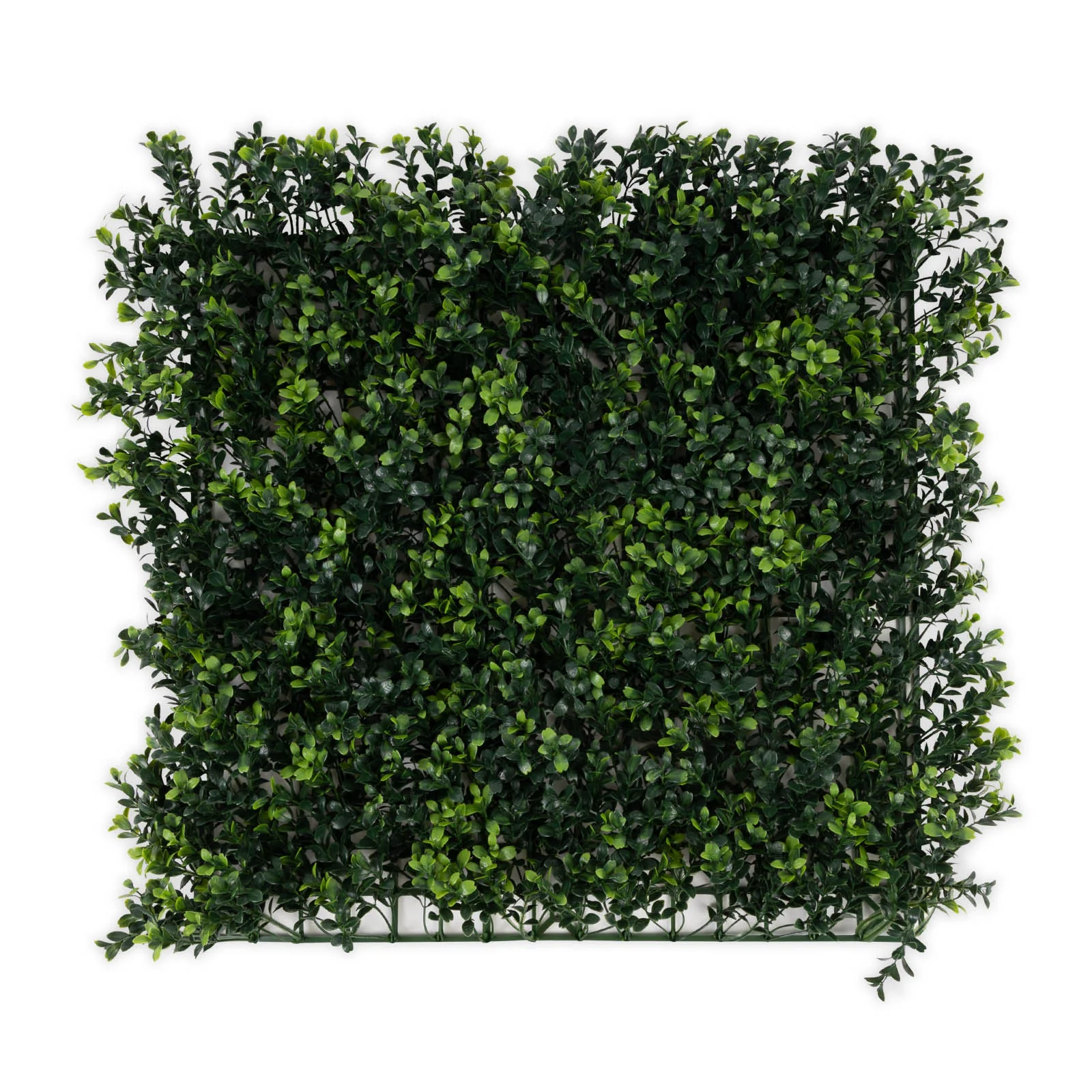 Miniatuur 1