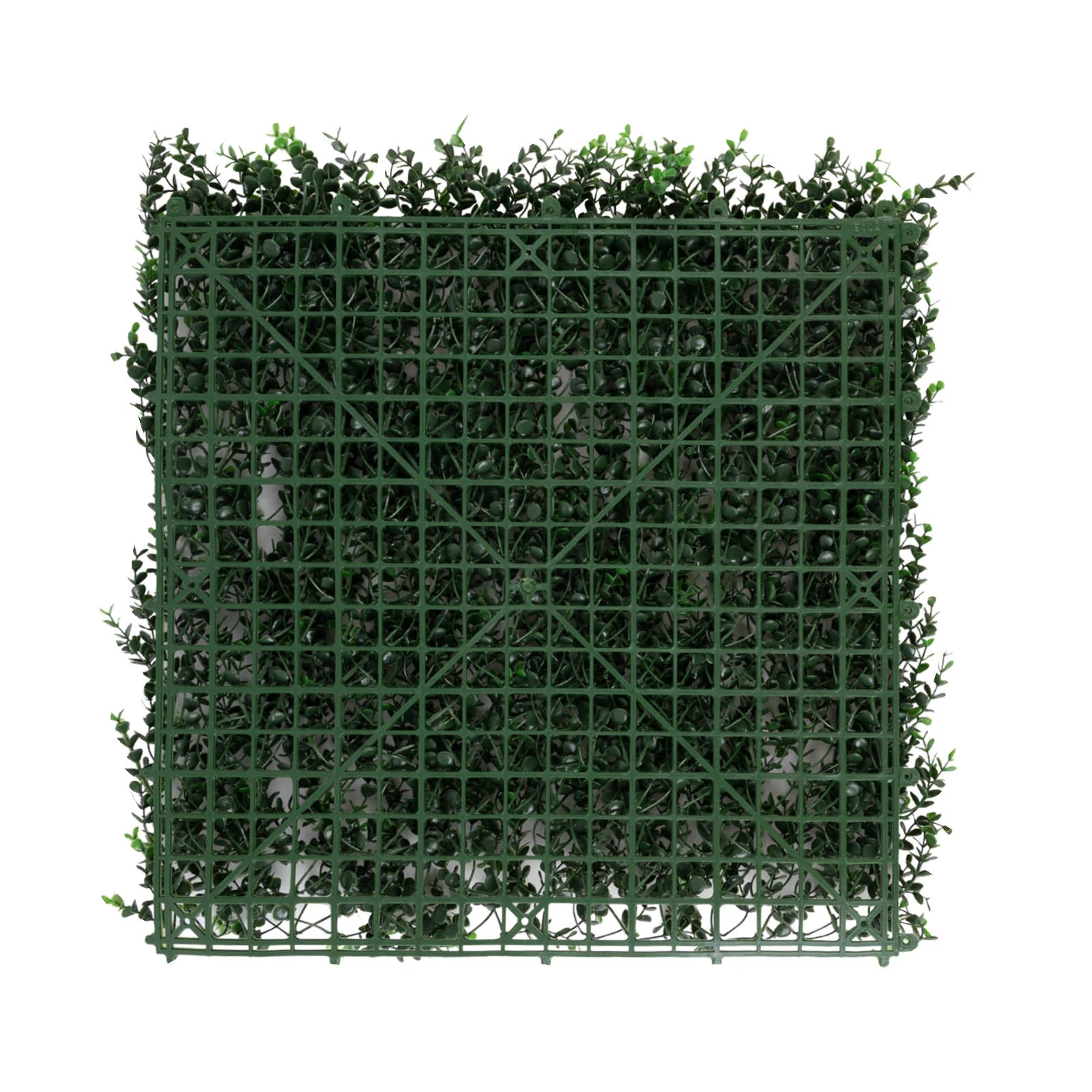 Productafbeelding 5