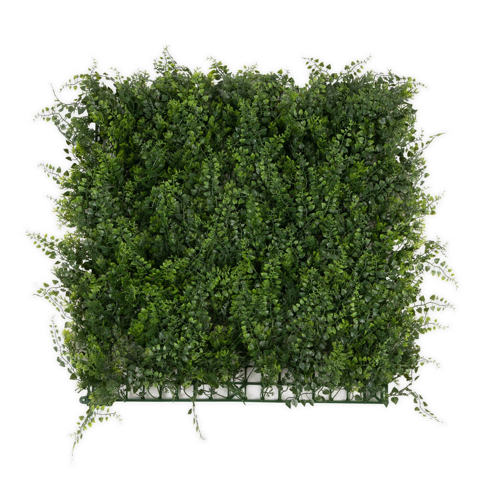 Miniatuur 1