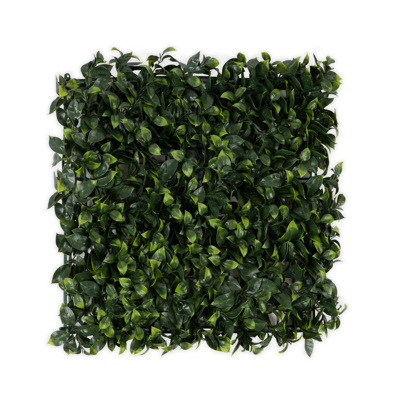 Miniatuur 1