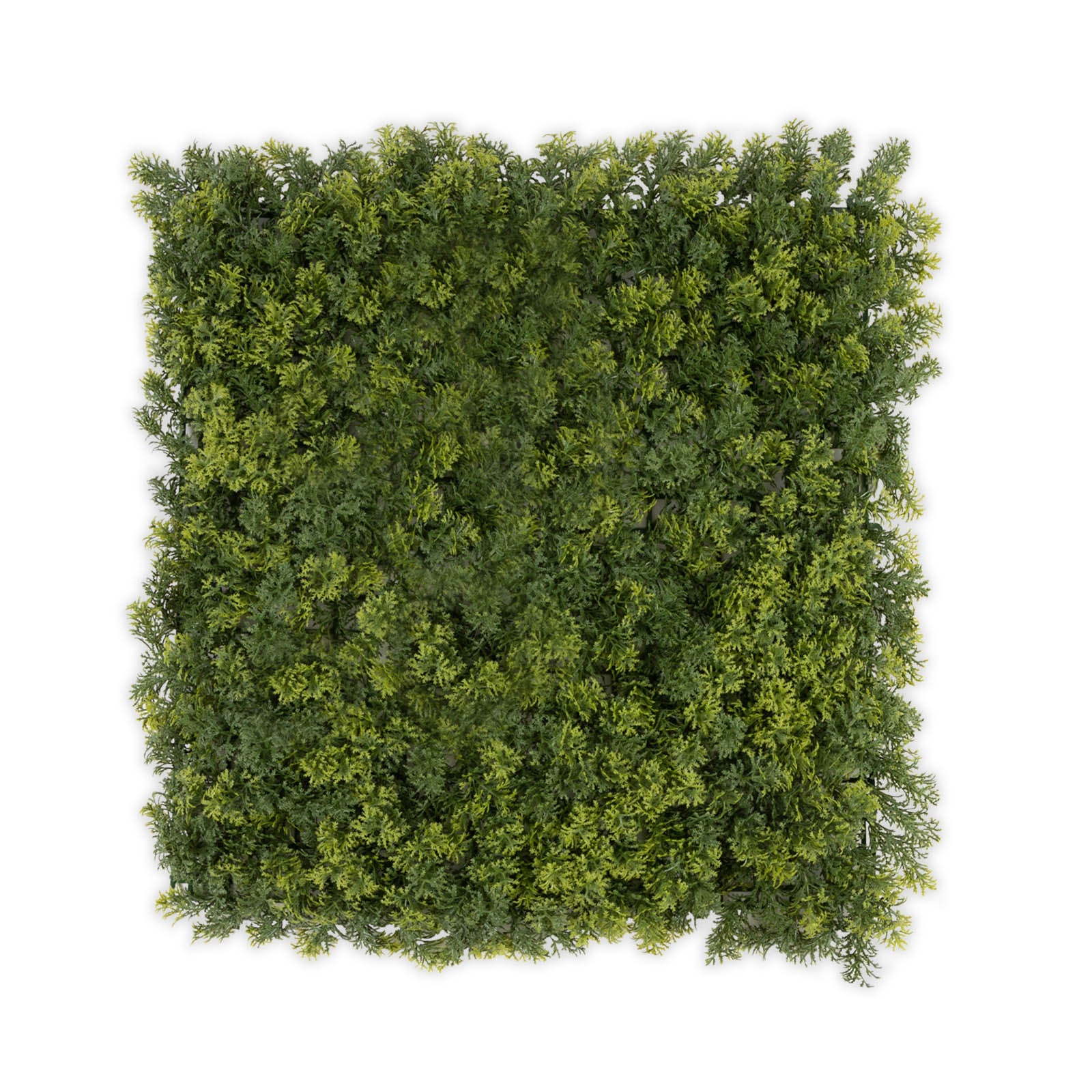 Miniatuur 1