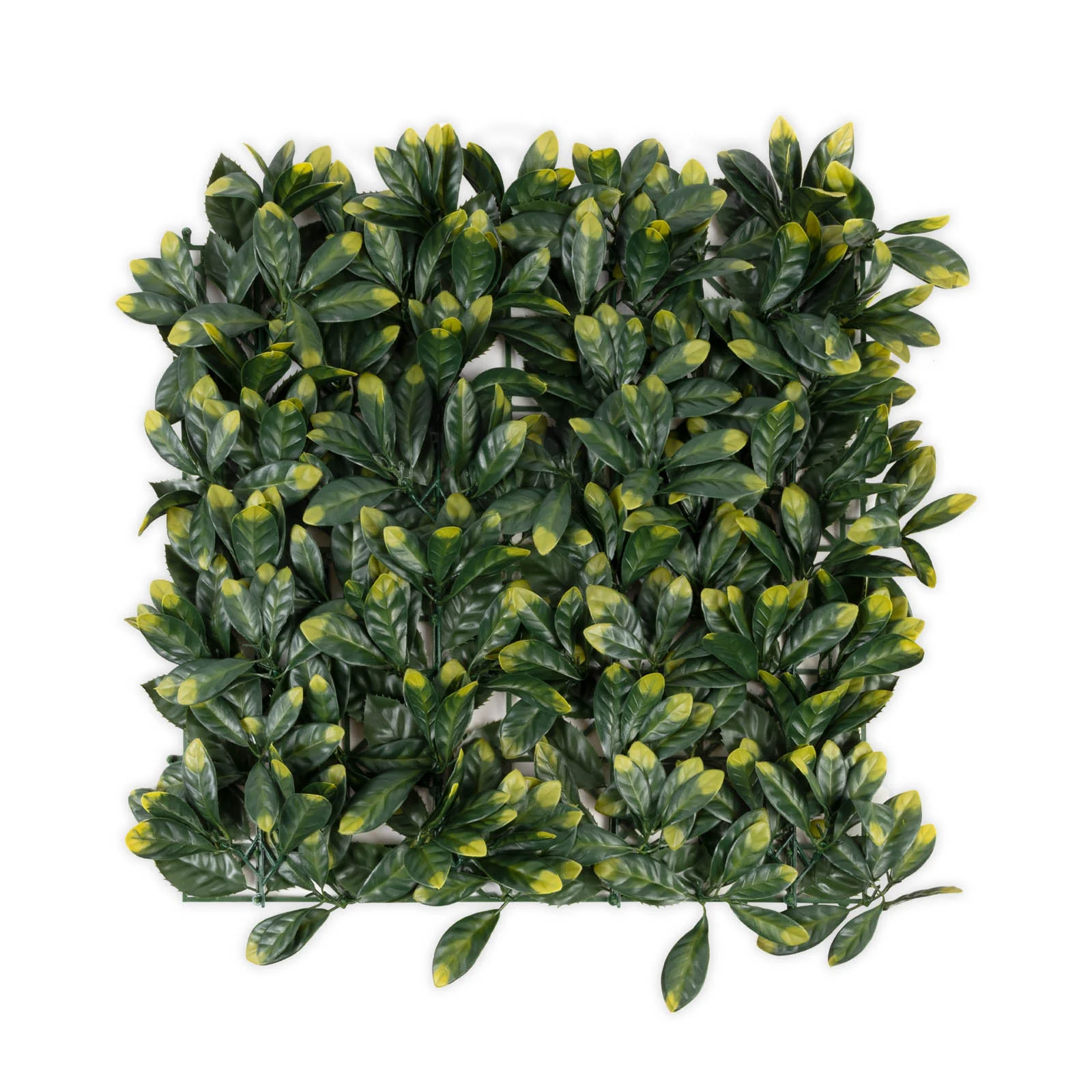 Miniatuur 1