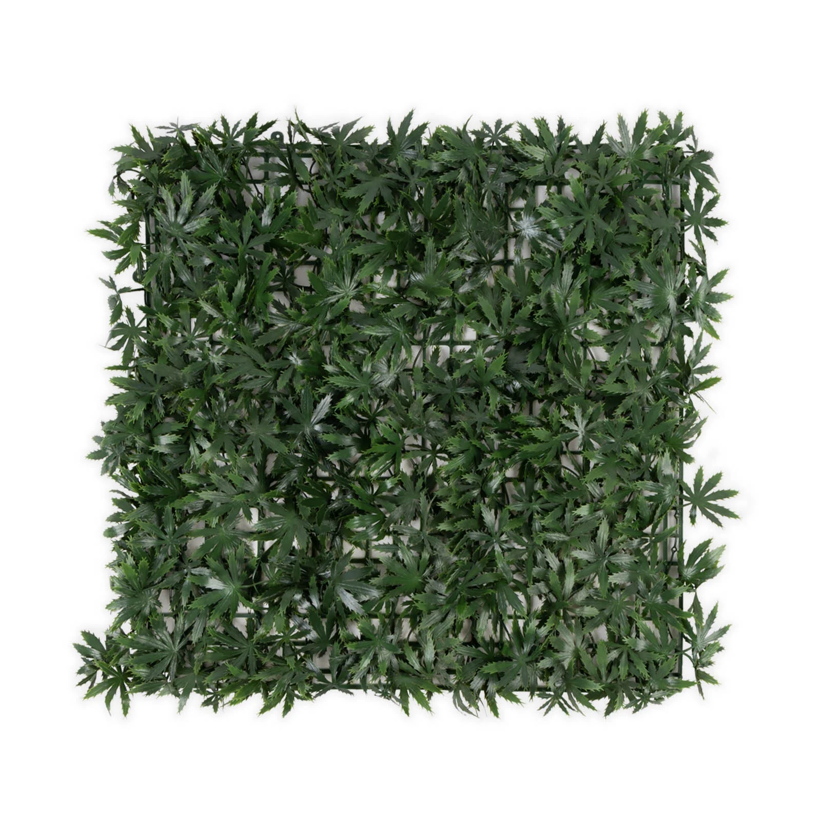 Miniatuur 1