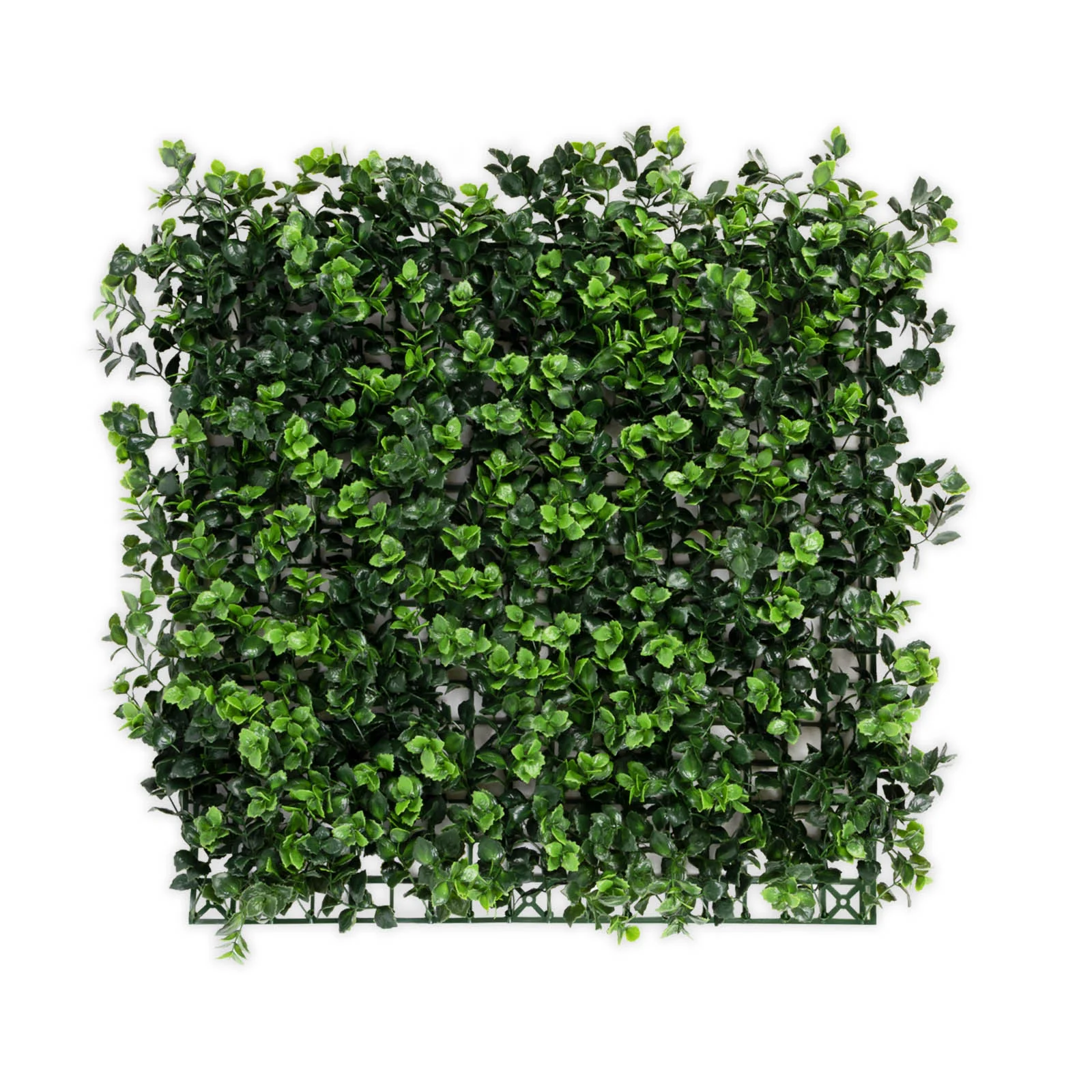 Miniatuur 1