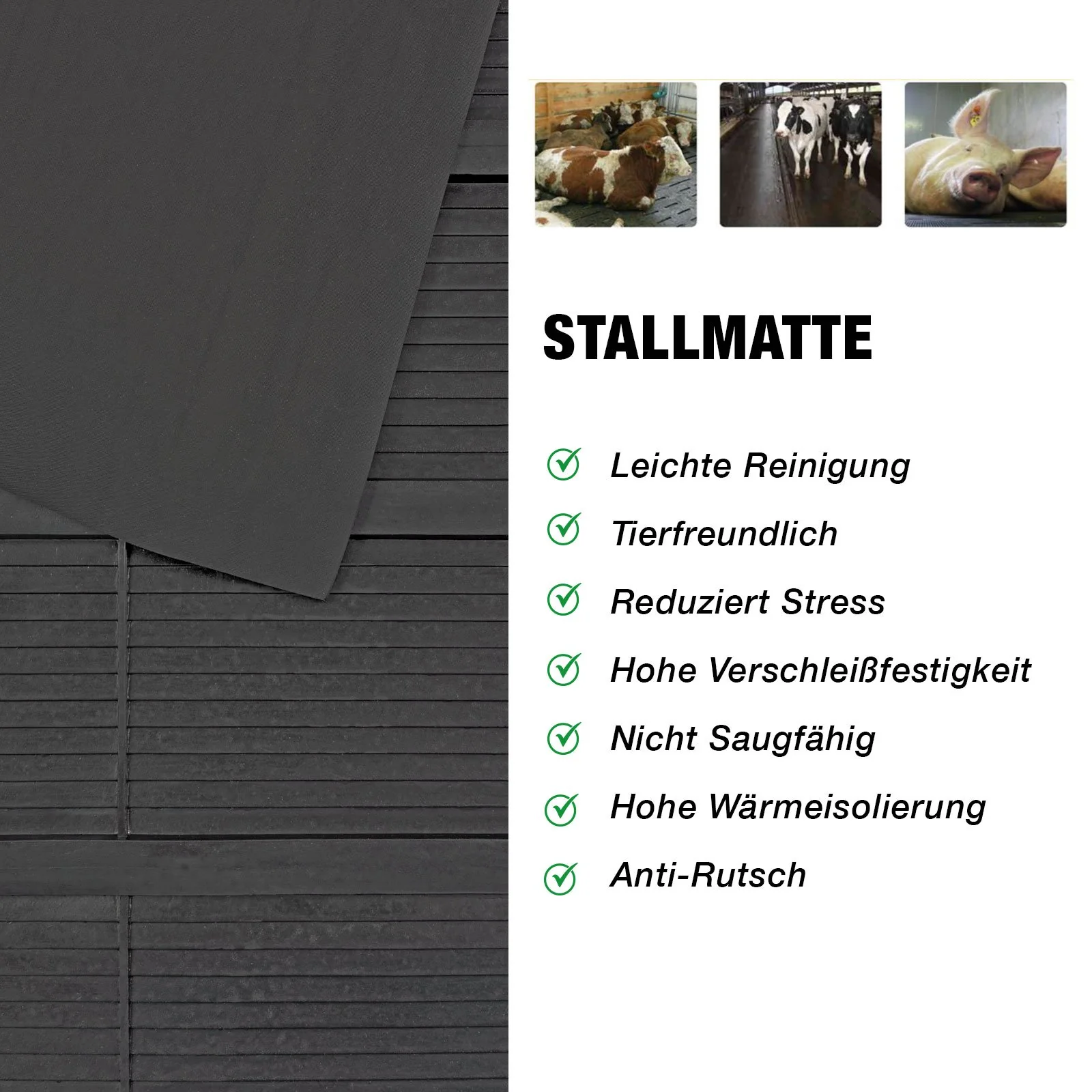 Productafbeelding 7
