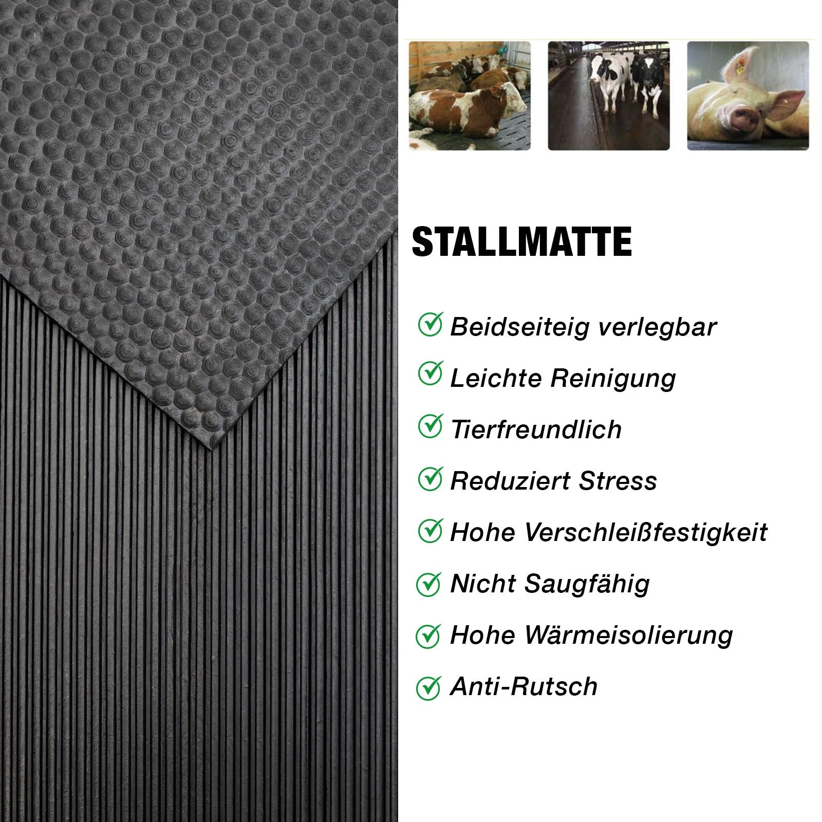 Productafbeelding 6