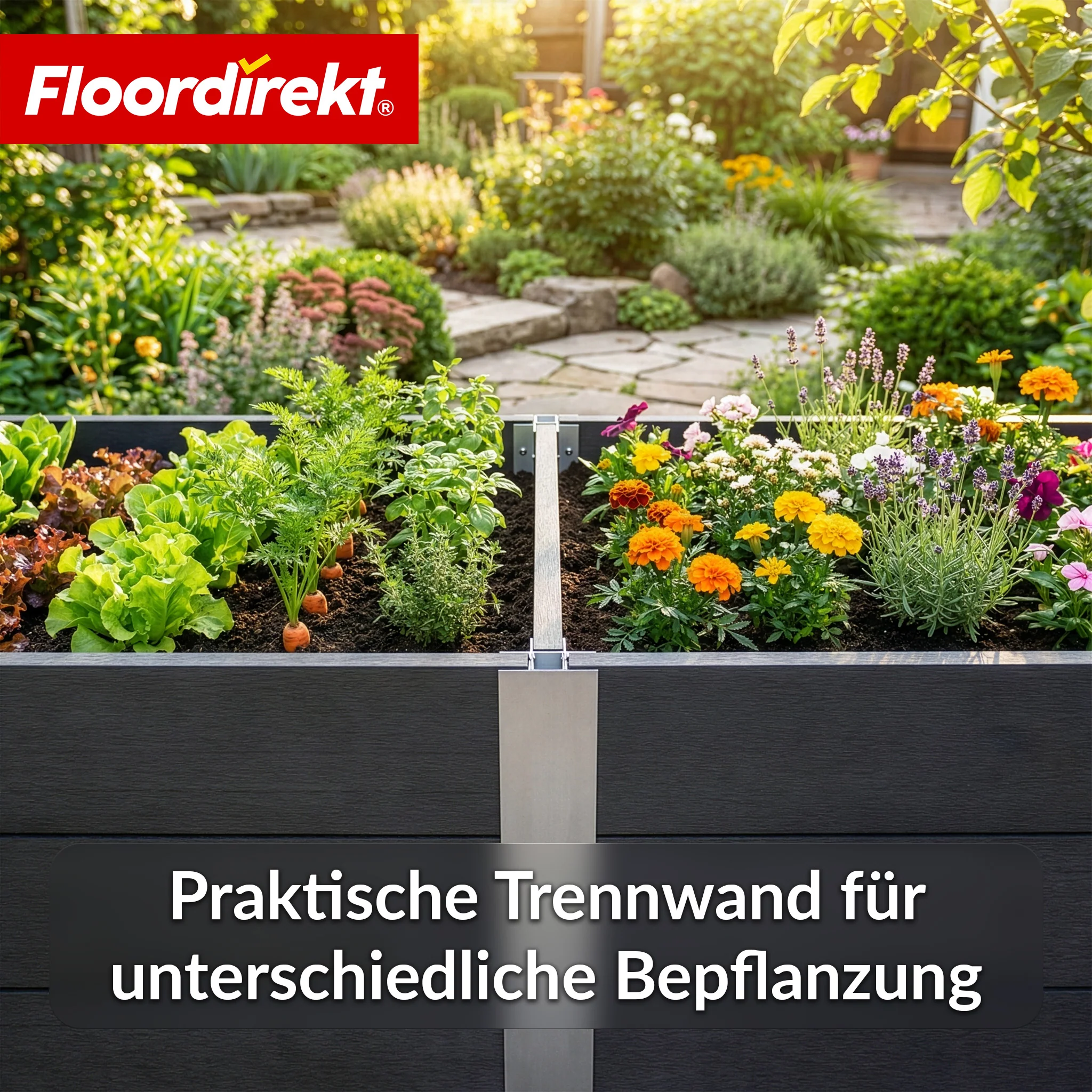 Productafbeelding 25